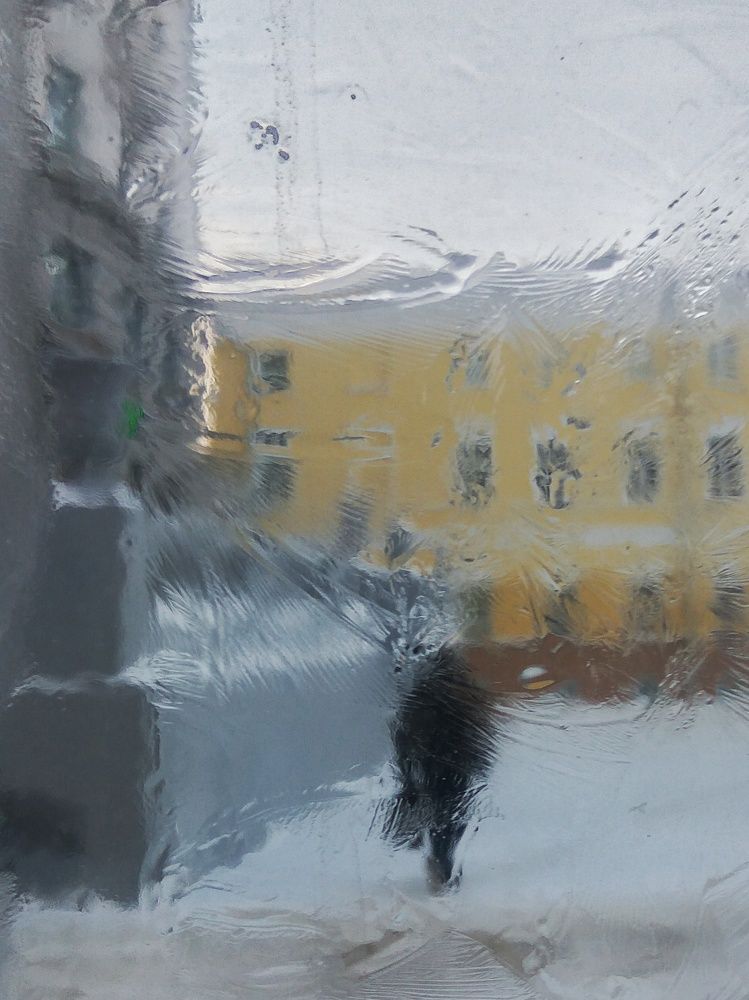 Photograph by Алина