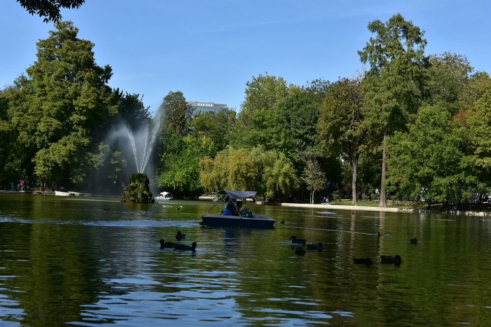 natura in parcul circului