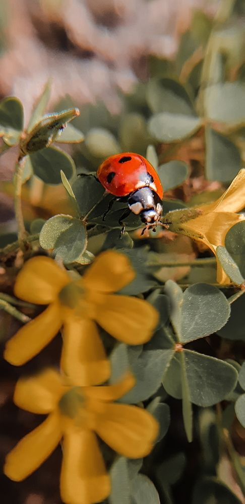 Photograph by Елена Твардовськая