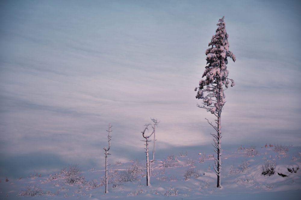 Фотография автора Anna NovaLova