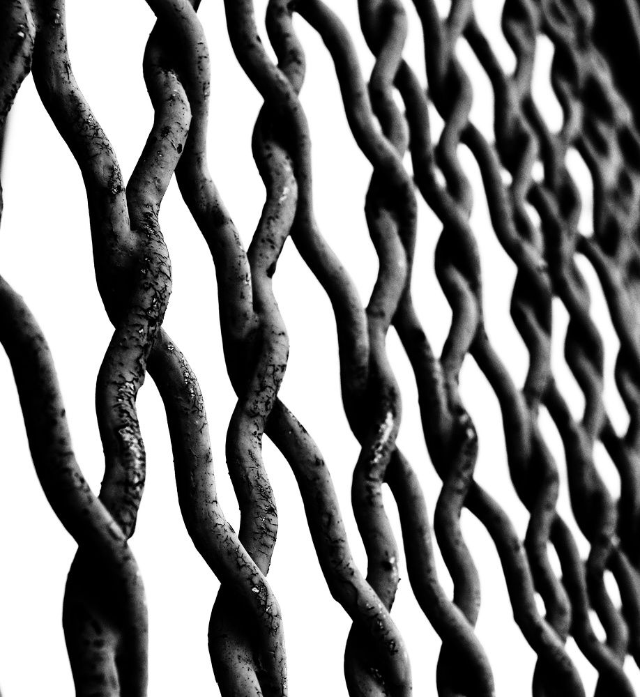 Photograph by Григорий Павлюк