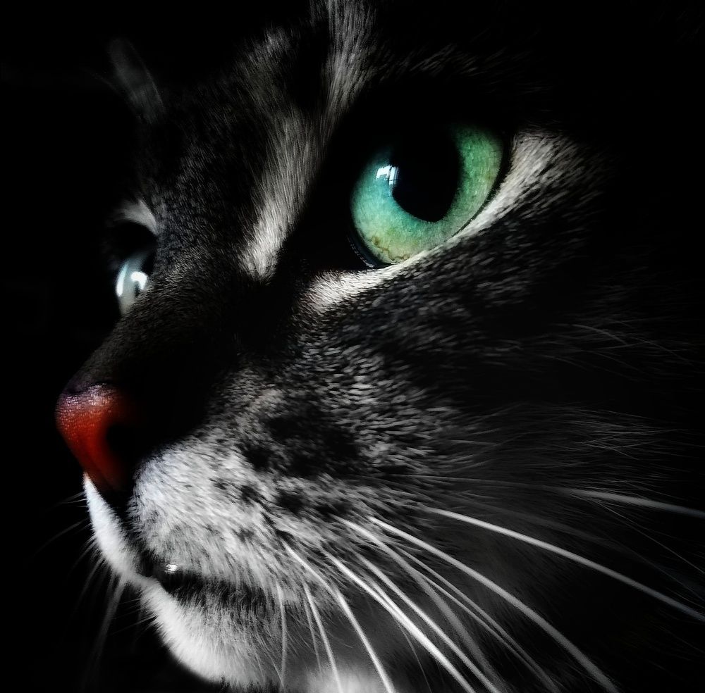 Photograph by Eszter Nagy