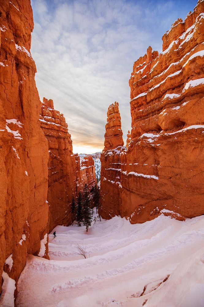 Photograph by Lana Anferow