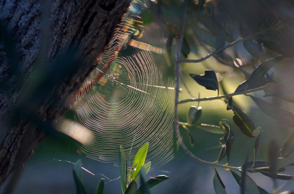 Photograph by Damir Gržin
