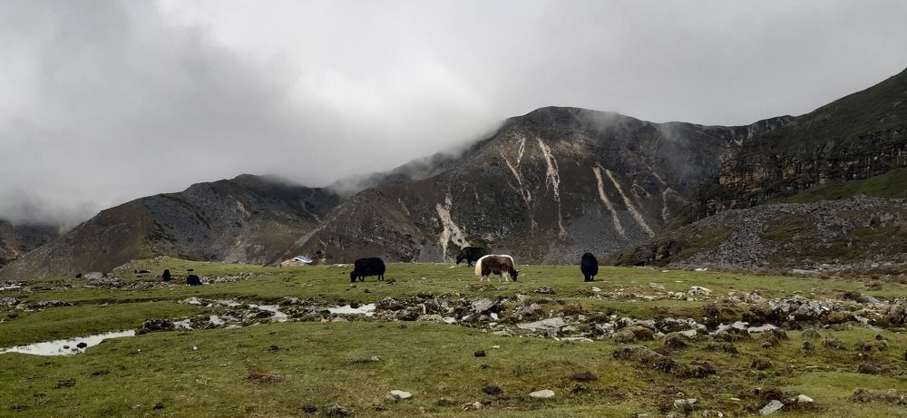 Dagala Trek In Bhutan