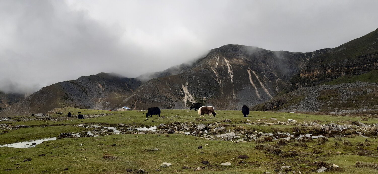 Dagala Trek In Bhutan