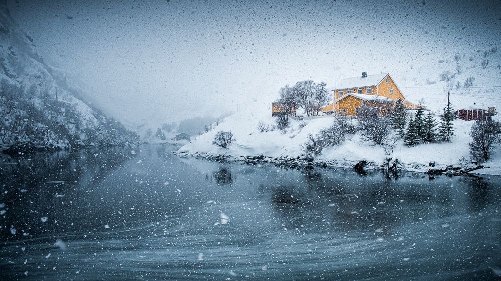 Photograph by Luís João Paralta