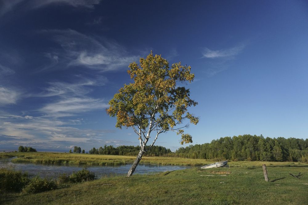 Photograph by Елена Никонова