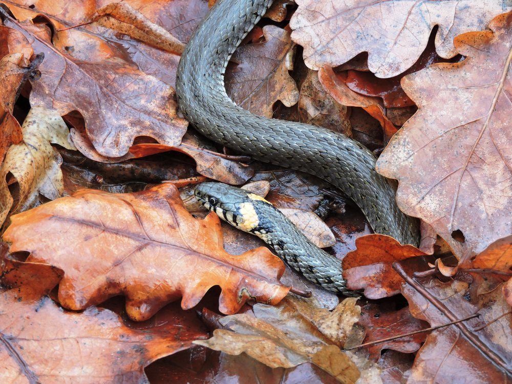 Photograph by Александр Захаров