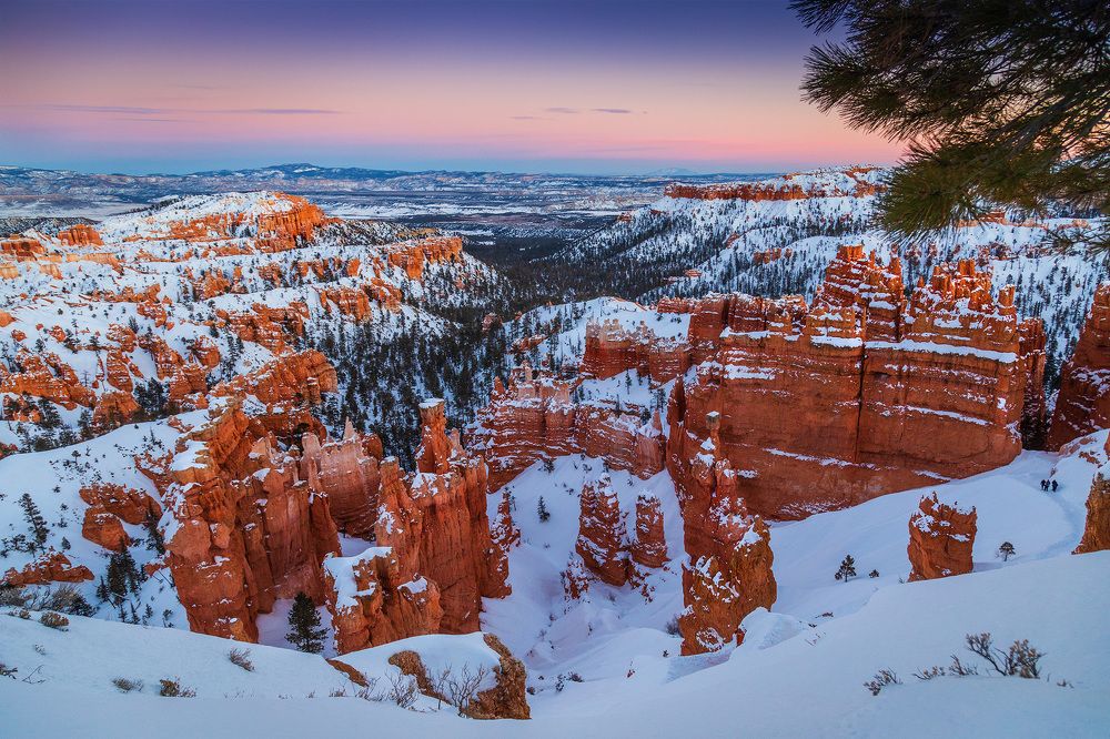 Photograph by Lana Anferow