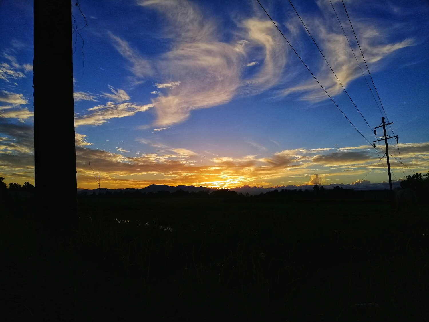 Photo #5737343