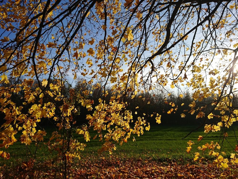 Photo #5737349