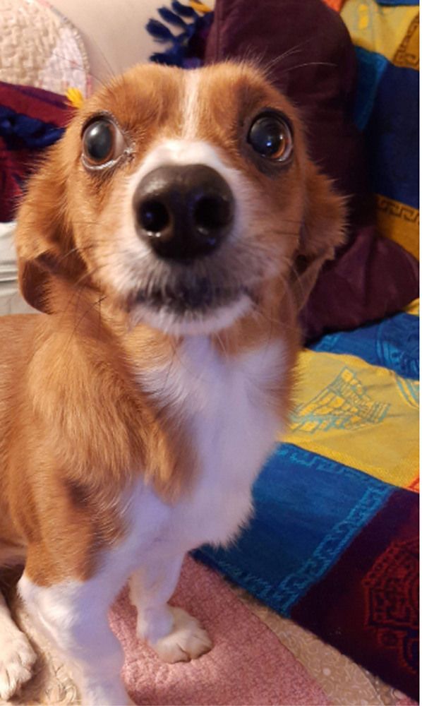 What is hapening there...