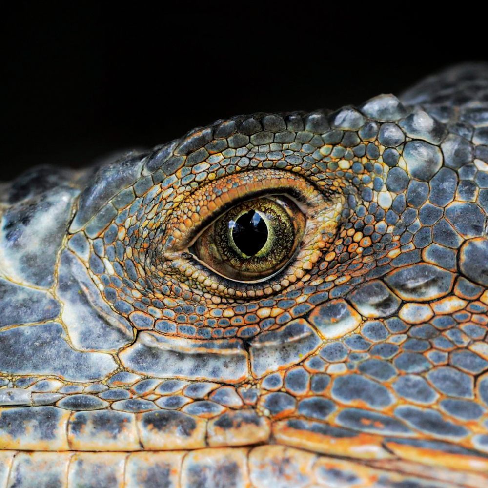 Photograph by Mizael Palomeque