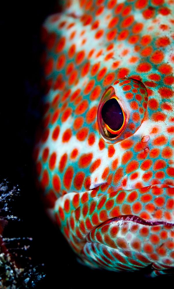 Photograph by Mizael Palomeque