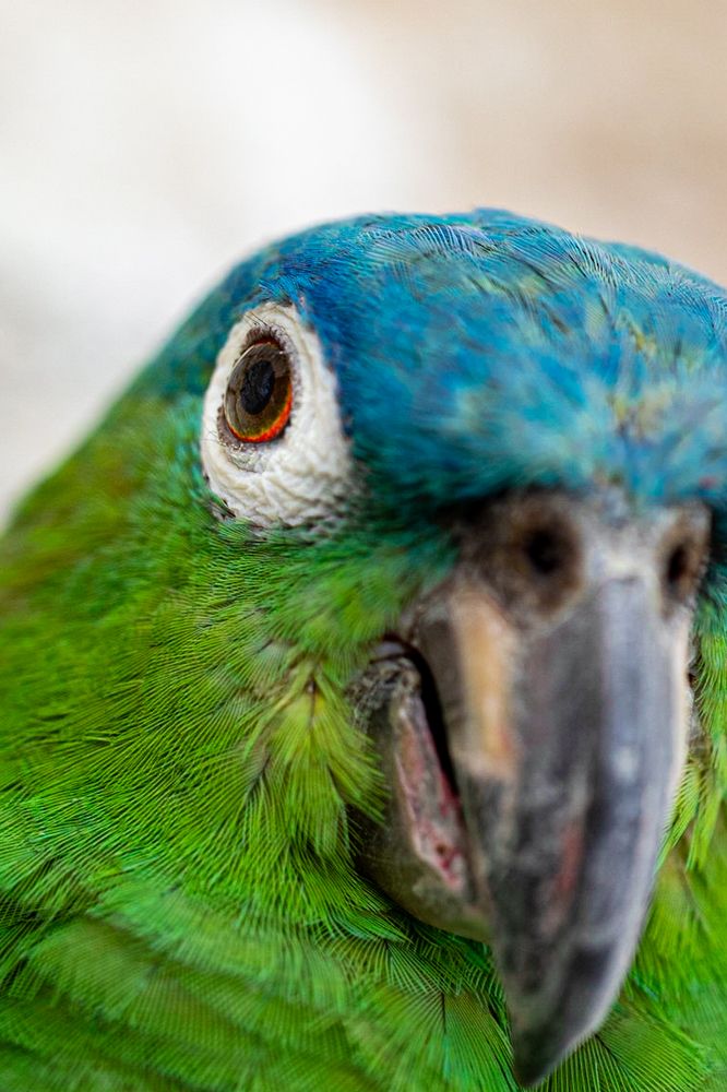 Photograph by Mizael Palomeque