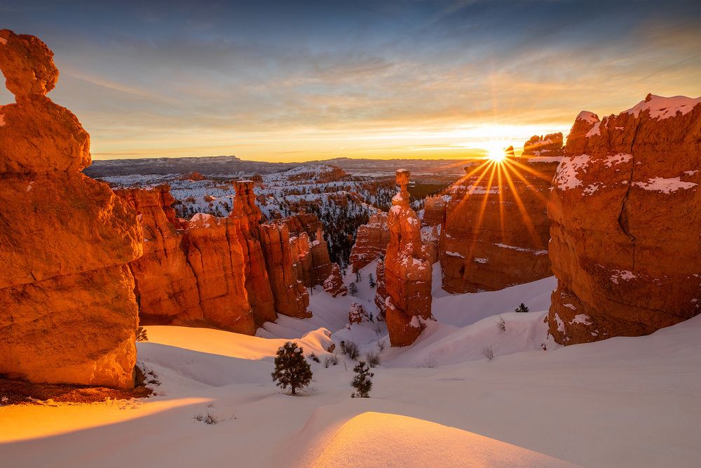 Photograph by Lana Anferow