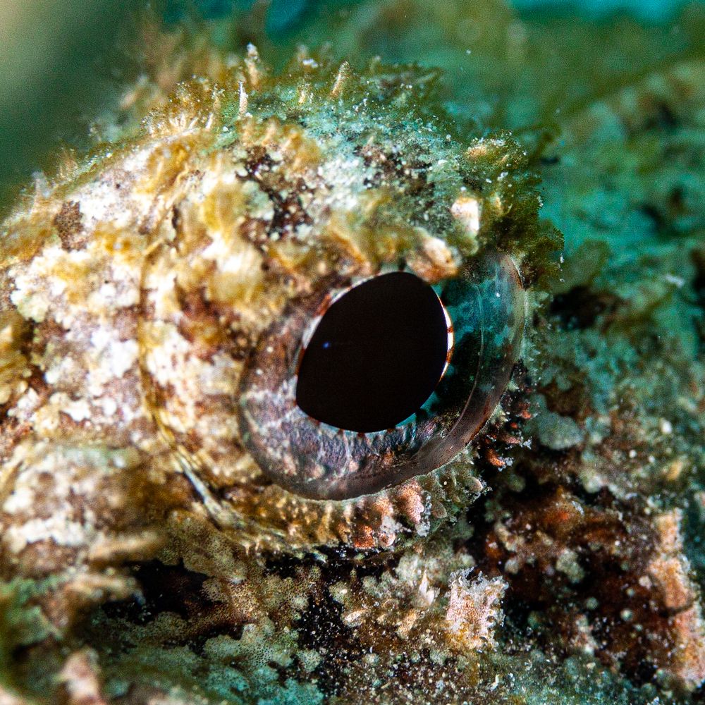 Photograph by Mizael Palomeque