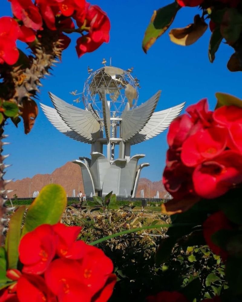 Фотография автора Юлия Вычужанина