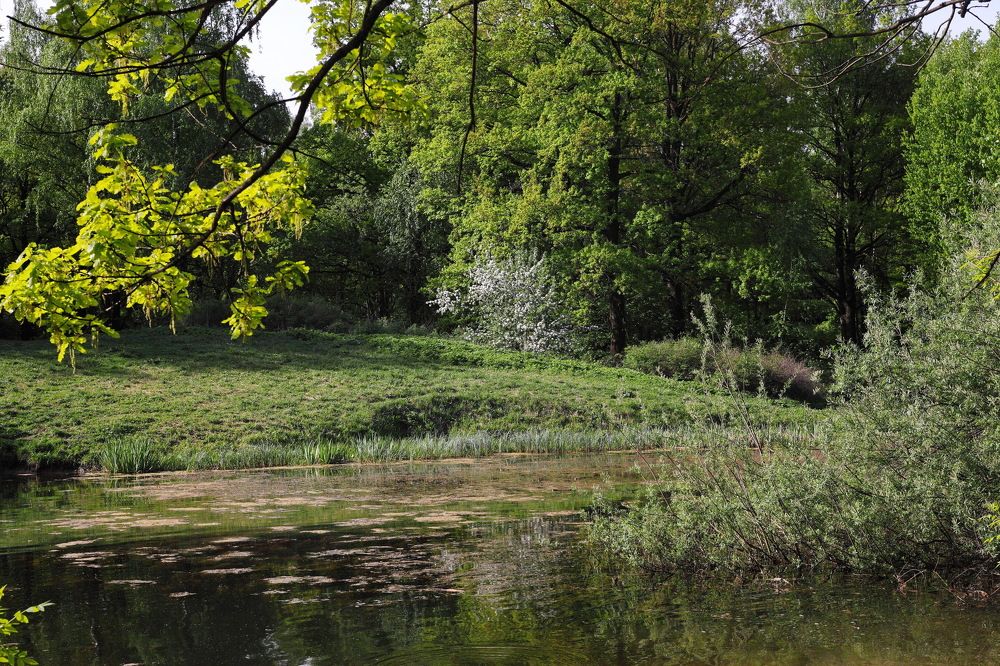 Photograph by Константин Лагоденко