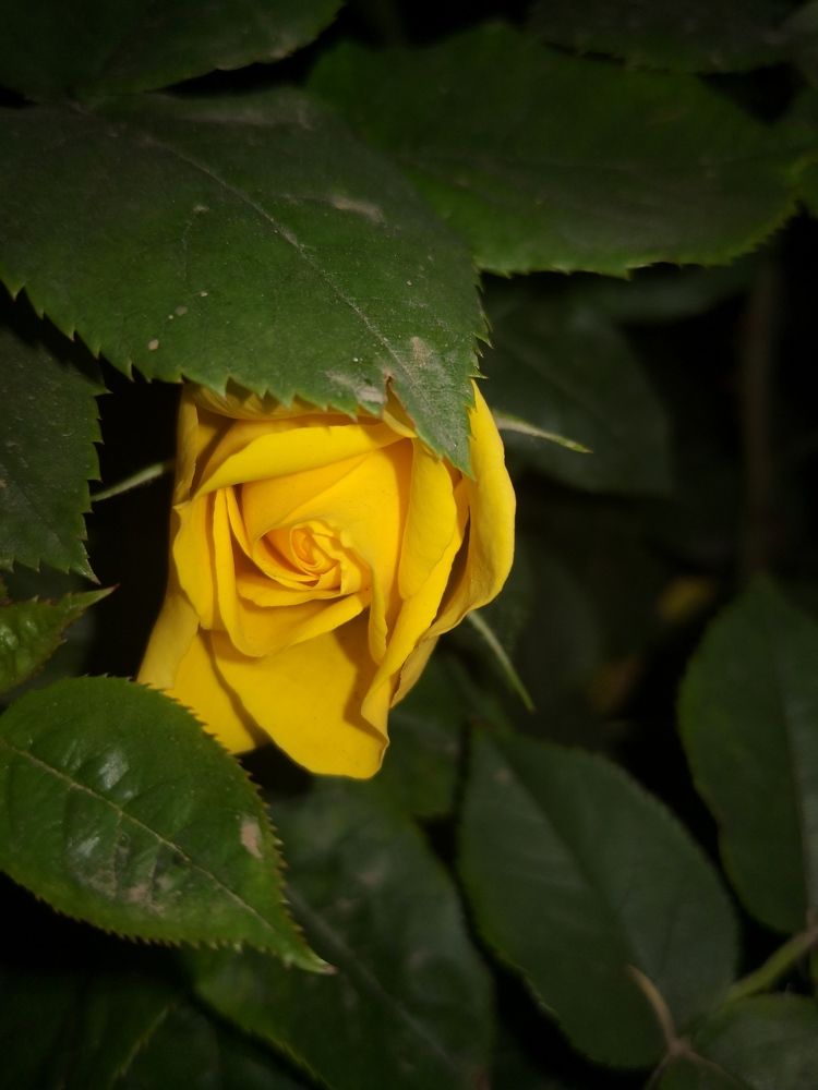 Photograph by BALLOUCH Hamid