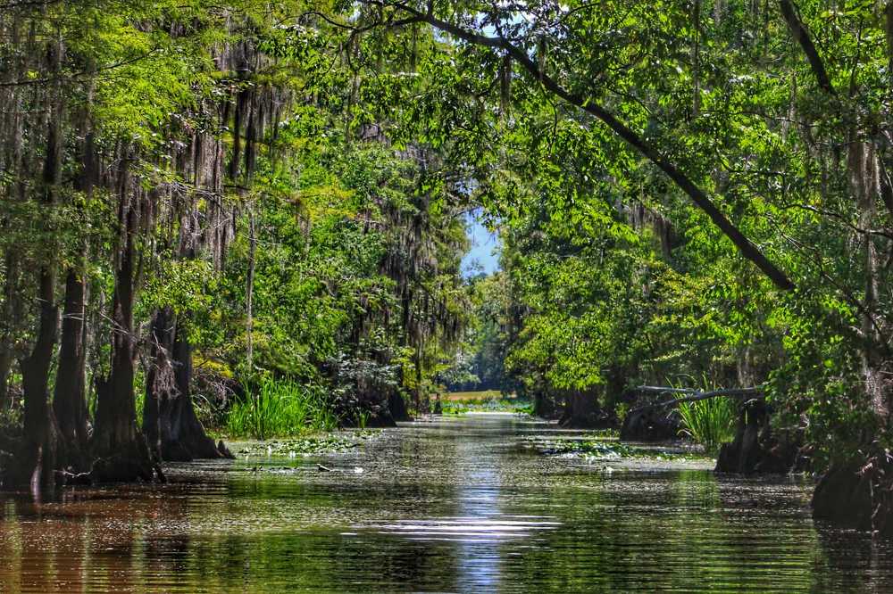 Photograph by Ivan Castello Serrano