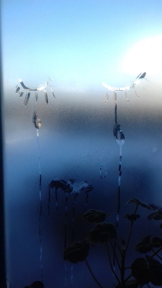 Photo #5737613