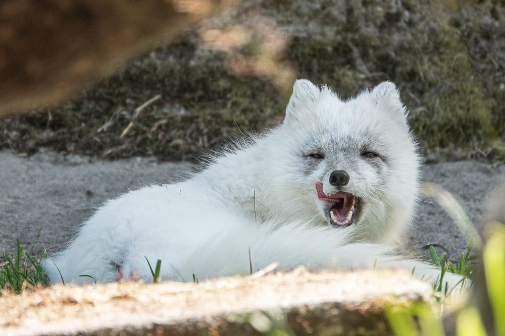 Фотография автора Михаил Боряк