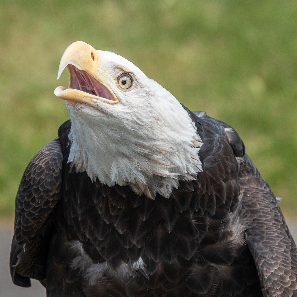 Фотография автора Михаил Боряк