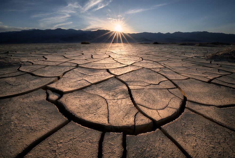 Photograph by  Ellis