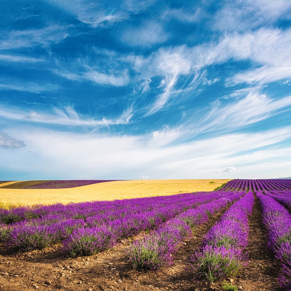 Photograph by Roman Tkachenko