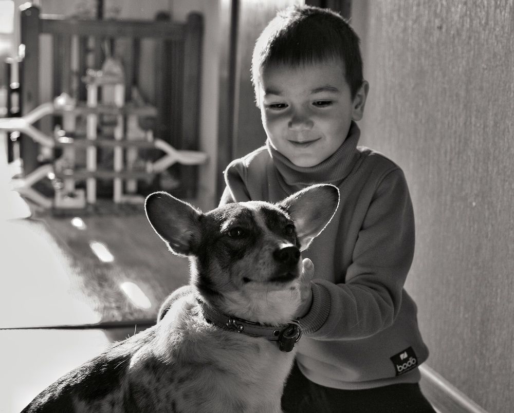 Photograph by Кристина Великанова