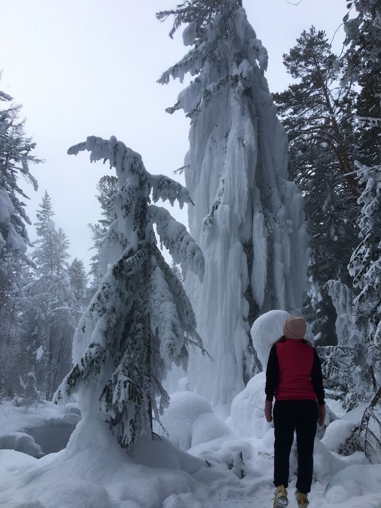 Сказочные деревья