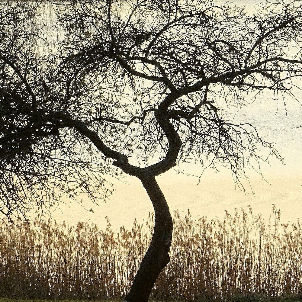 Медитация на закате.