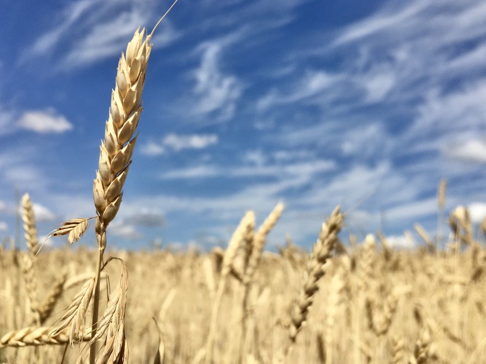 Photograph by Михаил Коган