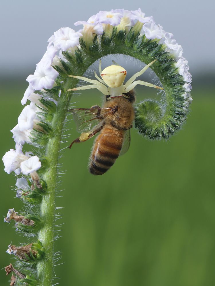 Photograph by Sahabuddin Sk