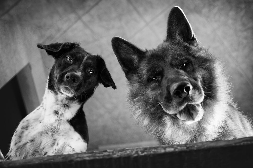 Photograph by Ольга Калимулина