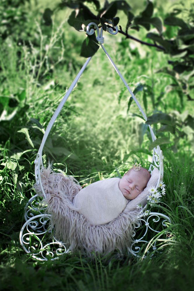 Photograph by Наталья Альбрехт