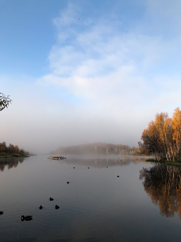 Безмятежность