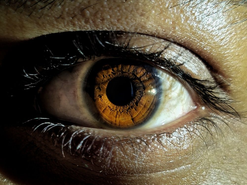 Фотография автора Jayesh Rajput