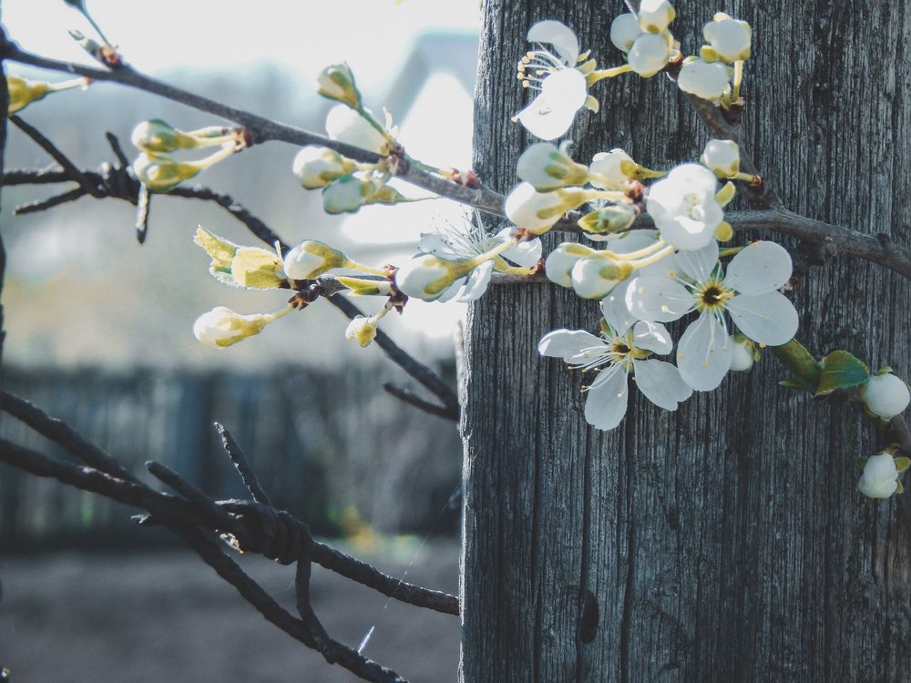 Photograph by Aлександра Зрелова