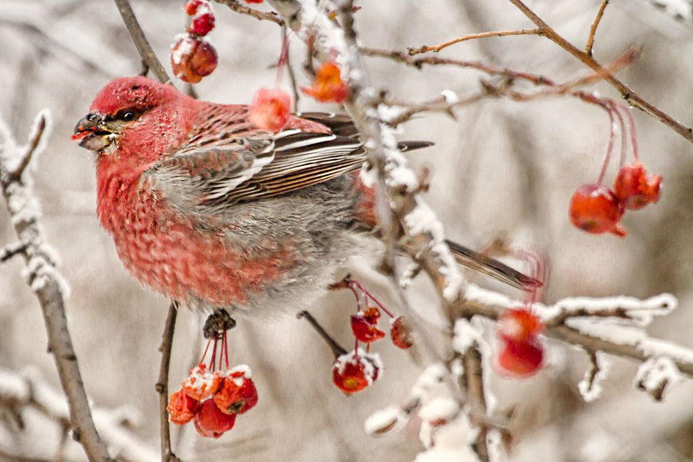 Photograph by Сергей Черных