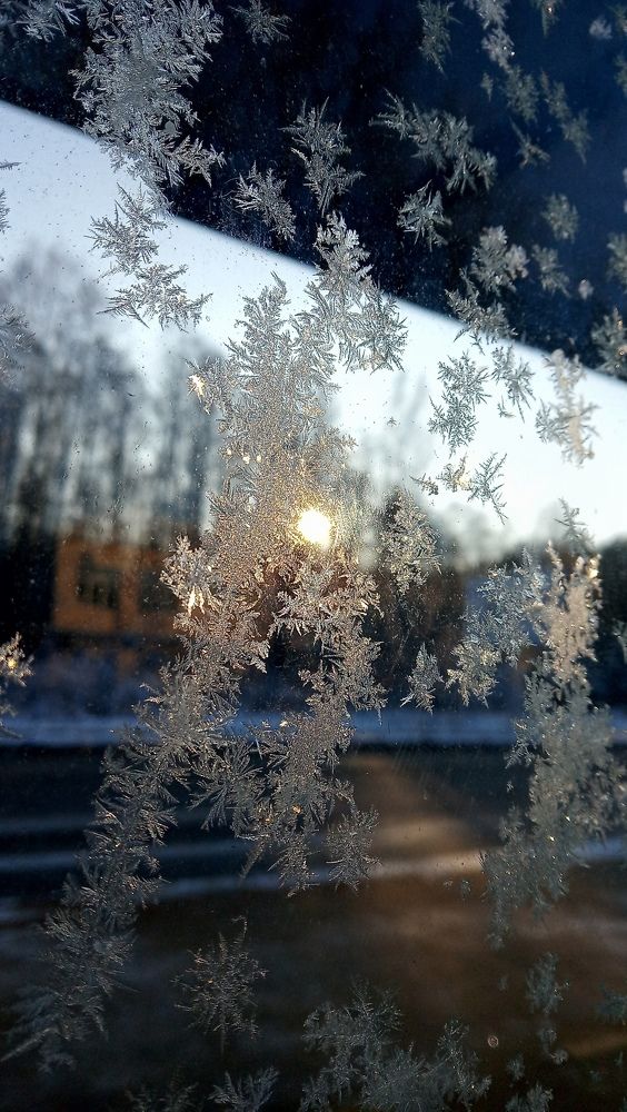 Photo #5738001