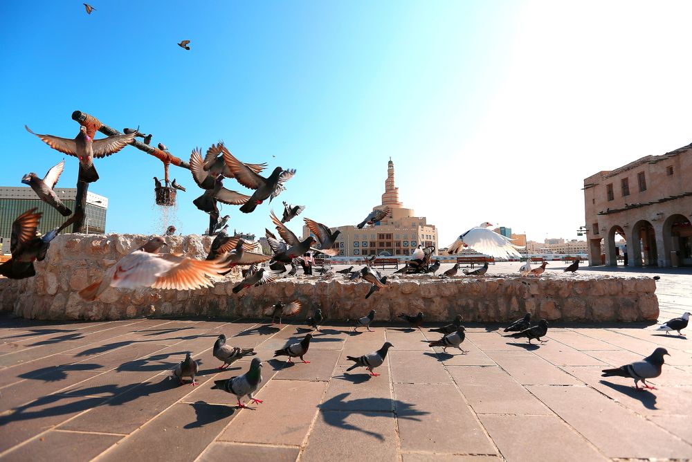 Photograph by Anoop Moidutty