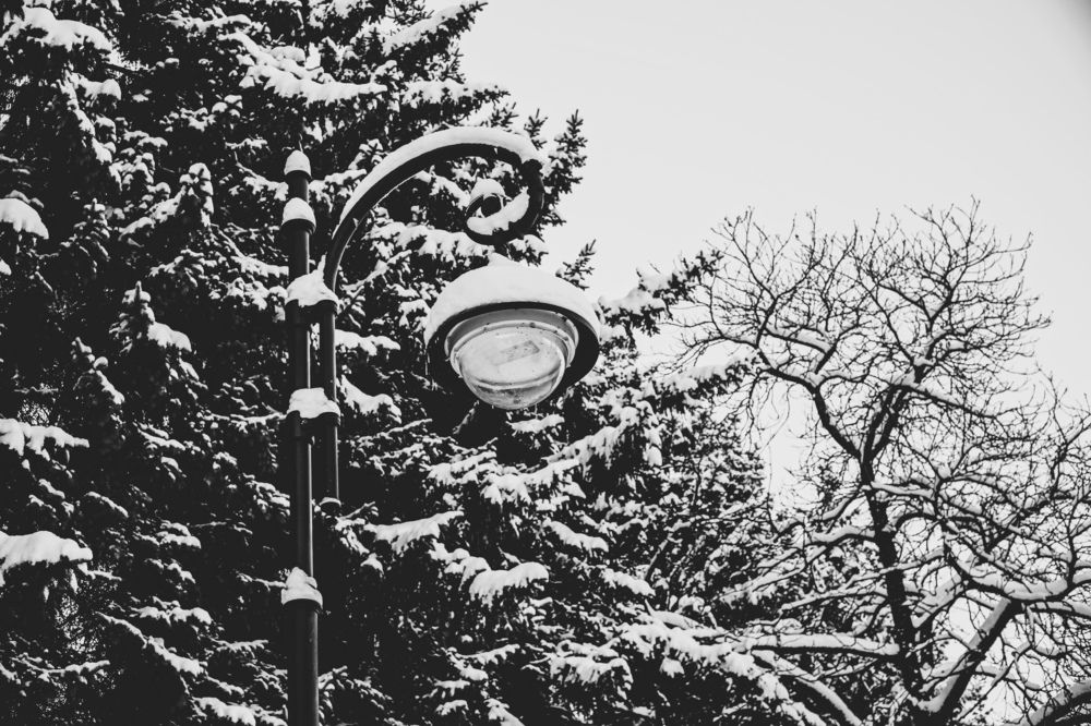 Photograph by Дмитрий Забуга