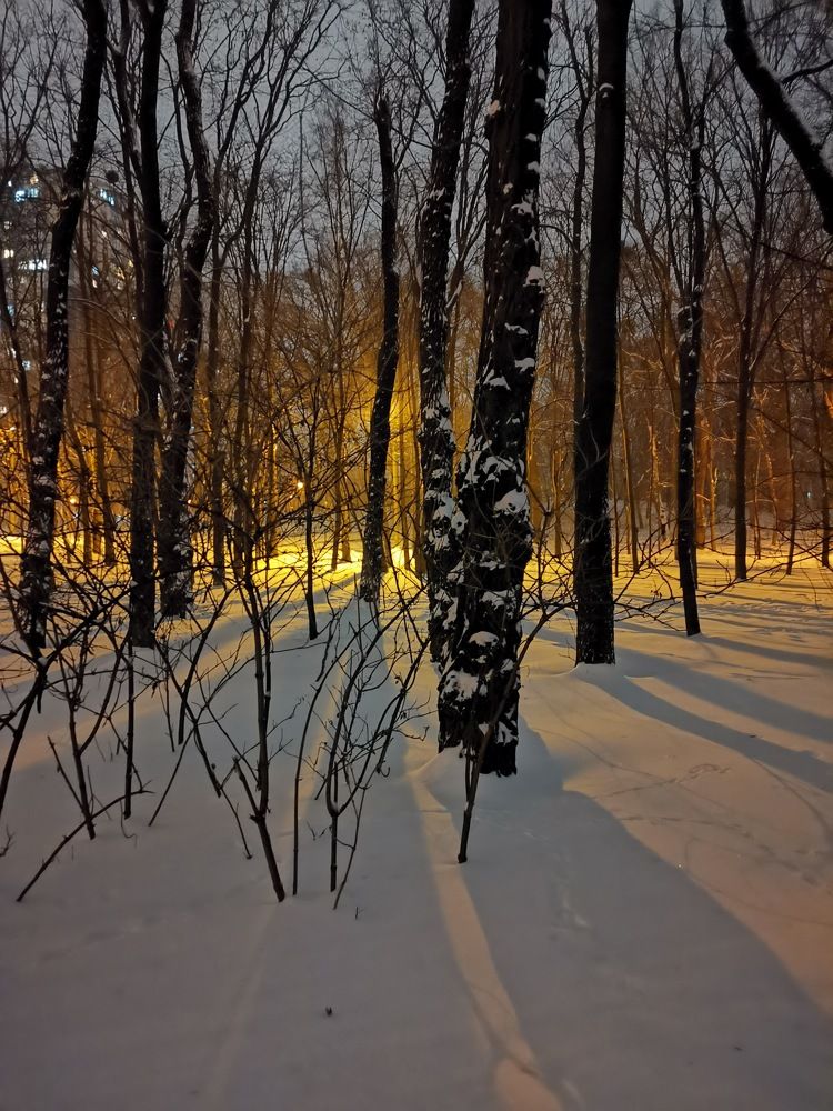 Photograph by Дмитрий Абрамович