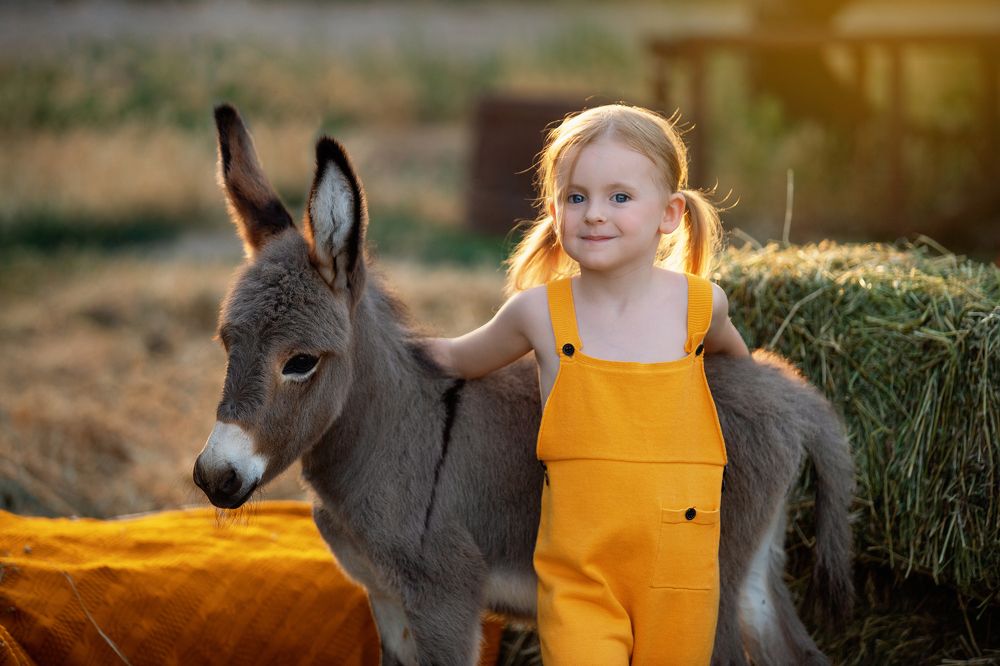 Photograph by Дарья Иванова