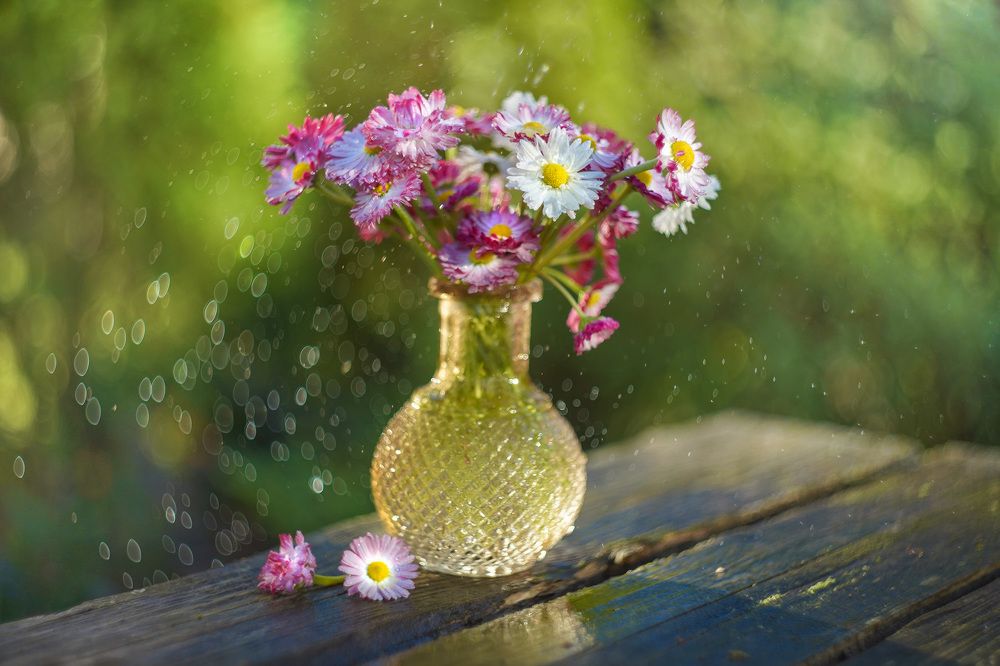 Photograph by Татьяна Александрова