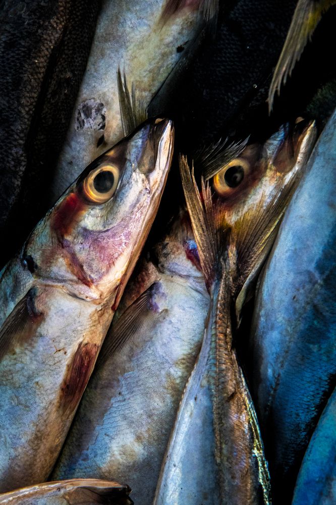 Photograph by Naufal Akbar