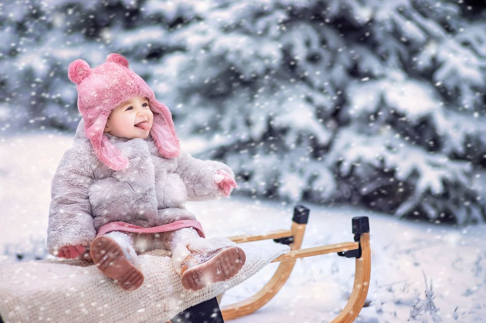 Снежный лес